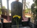 任儒舉（原創(chuàng)） |  處處青山