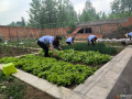 荒畦煥新綠 共筑暖心園 — 隨縣交通運(yùn)輸綜合執(zhí)法大隊(duì)一中隊(duì)“職工菜園”的幸福蝶變