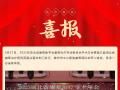 祝賀！隨州市中心醫(yī)院榮獲湖北省康復(fù)治療病例競(jìng)賽二等獎(jiǎng)