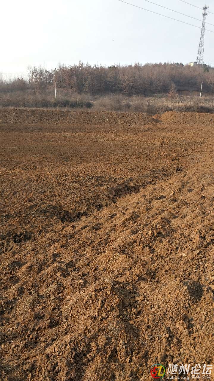 20190102_17381037_1546409741738.jpg