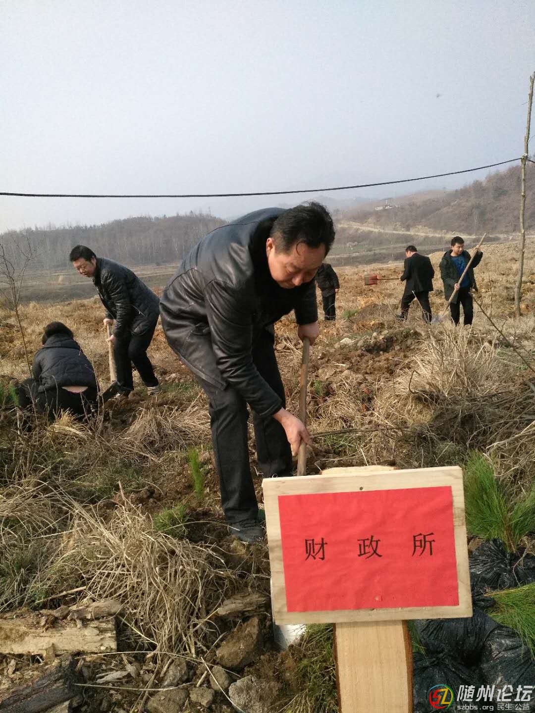 樹1.jpg