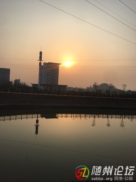 20190318173817301552878087876091.jpg